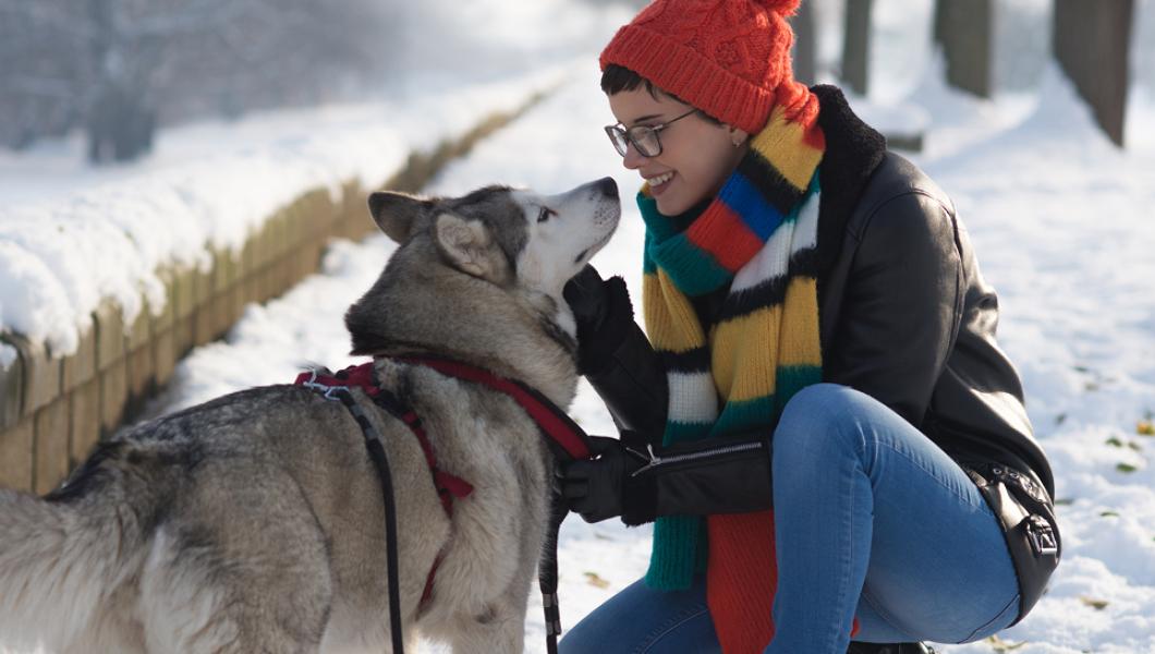 Woman in slow petting her husky dog