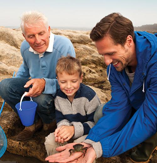 grandfather, son, and grandson catching a crab
